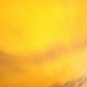 Meet your Posher, Hunter